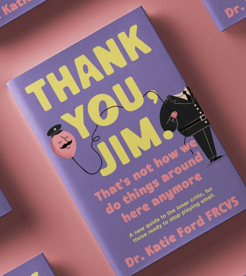 Cover of Thank You, Jim by Katie Ford